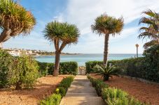 Apartment in San Luis - Ca l'Avi i s'Avia - Playa de Punta Prima